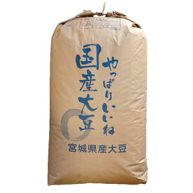 大豆 1等 大粒 30kg 2025年産 令和7年産 宮城県産 タチナガハ 送料無料 業務用紙袋 ※あす楽対応不可