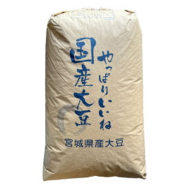 大豆 30kg 2025年産 令和7年産 宮城県産 ミヤギシロメ 送料無料 業務用紙袋 ※あす楽対応不可