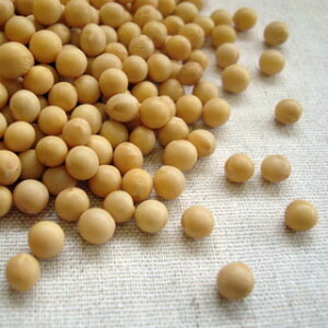 XY} 800g 2024NY ߘa6NY kCY 哤 `bN  [[M 1/2]