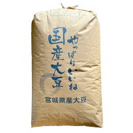 すずみのり 大豆 3等 中粒 規格外 30kg 2025年産 令和7年産 宮城県産 訳アリ 送料無料 業務用紙袋 ※あす…