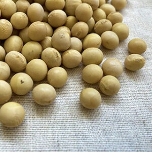 �哤 ���X�p ���I�� 30kg 2025�N�Y �ߘa7�N�Y �k�C���Y �Ƃ�܂��� ���L�z�}�� �������� �Ɩ��p���� ����N��芄�ꂪ�����Ȃ��Ă���܂�