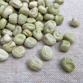 青えんどう 1kg 2025年産 令和7年産 北海道産