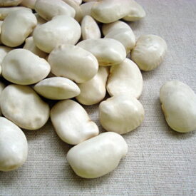 白花豆 800g 2025年産 令和7年産 北海道産 ※例年より小粒となっております