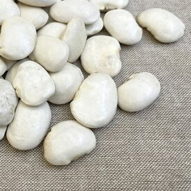 2023年 北海道産 白花豆【400g】※例年より小粒となっております