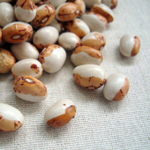 Ƃ瓤 500g 2024NY ߘa6NY kCY