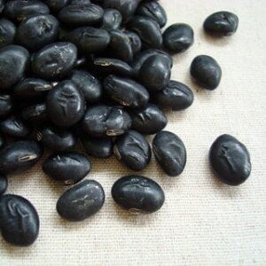  500g 2024NY ߘa6NY R`Y 