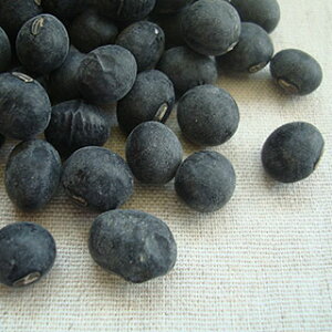 c_X Og  1kg 2025NY ߘa7NY ɌY N菬ƂȂĂ܂