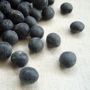 Og 2L 1kg 2025NY ߘa7NY ꌧY