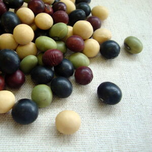 yzy[ցzO킨߂Zbg[M 1/2]