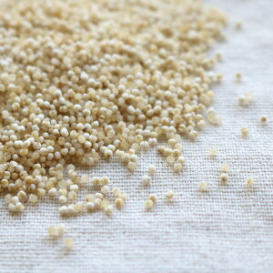  500g 2024NY ߘa6NY kCY