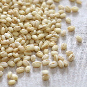 yzy[ցzY(ꌧ) (tN~t@Co[)y800gz`bN[M 1/2]