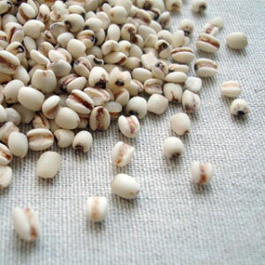 ͂Ɣ 1kg 2024NY ߘa6NY 茧Y ngM ͂Ƃނ