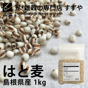 ͂Ɣ(ngM) 1kg Y `bNt qɒ