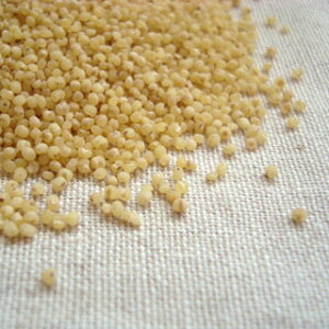 邿Ђ 150g 2024NY ߘa6NY 茧Y