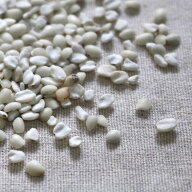 挽き割りはと麦 1kg(500g×2) 2025年産 令和7年産 岩手県産 ハトムギ