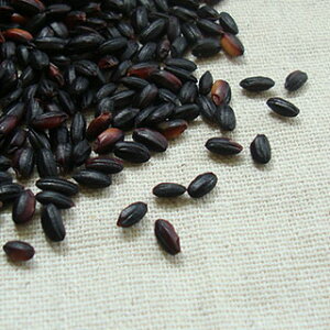  150g 2024NY ߘa6NY 茧Y  [ [M 1/2]