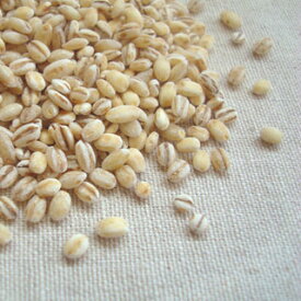 丸麦 1kg 2025年産 令和7年産 岩手県産 大麦