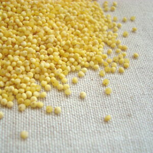 NAXZ[  500g 2024NY ߘa6NY 茧Y  [ [M 1/2]