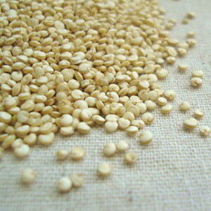 y[Y LkAy1kgzi500g×2j