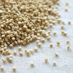 LkA 500g kCY  [ [M 1/2]