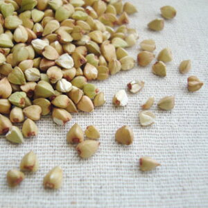 ΂̎ 150g 2024NY ߘa6NY 茧Y