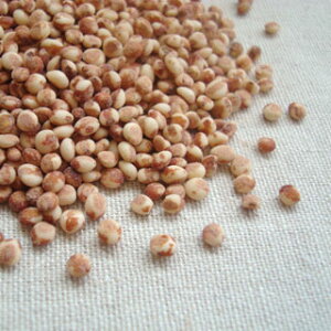  150g 2024NY ߘa6NY 茧Y  [ [M 1/2]