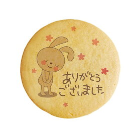 楽天市場 メッセージ クッキーの通販