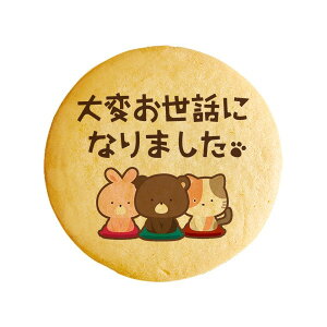 NbL[ CXg vg bZ[W ςbɂȂ܂  v` Mtg mَq َq j ʔ lC 蕨  L tH`Fb^