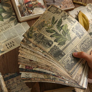 �C�O�� ���B���e�[�W�N���t�g�y�[�p�[�Z�b�g (k45) 10��30������ �A�� �p�� �p���V�� �O�� �t���C���[ �p�� �A���t�@�x�b�g �C�O������ ������� �� ���y�������i�z���ꑗ�����܂Ƃ߉�