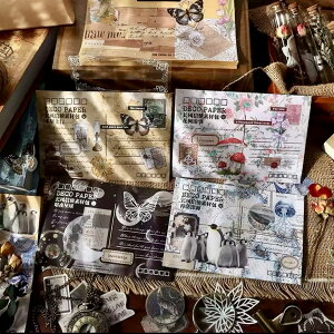 DECO PAPERZbg(k52) 100 fގ f }Xef V[ XebJ[ a PET Be[W g@莆 O[eBOJ[h  [X  t[ g F V p NQ X fR R