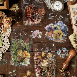 DriedFlower(s60) 2040 V[ XebJ[ hCt[ t[NV[ A t  傫  AeB[N g PET NA  X}z 蒠 fR R[W AW bs