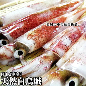 白 イカ 刺身の人気商品 通販 価格比較 価格 Com 白 イカ 刺身の人気商品 通販 価格比較 価格 Com