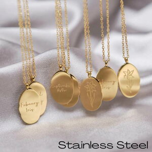 aԃlbNX T[WJXeX aԃ`[ S[hv[eBOlbNXAM[Ή@18KJ[ CIv[eBOH 12