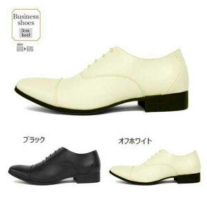 rWlXV[Y YV[Y amC Yt@bV C H tH[}V[Y  rWlX 3cmq[ V[Y w zXg̕ XX tH[} Xg[g`