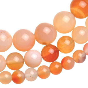 Xgbvp[c r[Y ANZT[ ޗ | nhNtg y RNV VR JZhj[ ۋ 1A bNXԂ֓ SƑ̂̃oX𐮂 ӕʍς VR 