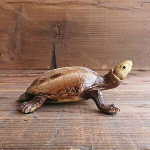 IuWF u CeAG Ƌ CeA ̐V[Y T I[ig J A ₨X͋̕C IXX