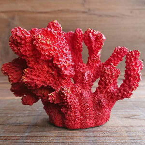 IuWF u CeAG Ƌ CeA C̐V[Y ܂Ŗ{ TS I[ig  X ו܂ōČ {ƌԈႤ ₨X̃CeA Ƃ