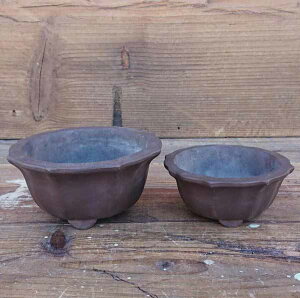 iʁj  v^[ K[fjO |pi  D Aؔ ۗ։ 召2_Zbg Xq  aeCXg 