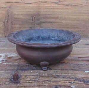 iʁj  v^[ K[fjO |pi  D Aؔ  Xq ̍L  aeCXg 