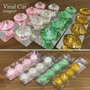 }Olbg pi  Xe[Vi[ Lb` pi Vivid Cut 4Zbg ΂̂悤Ȍ` LLP ڂ S[WX LL킢