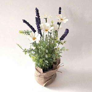 CeAt[  tFCNO[  K[fjO Artificial flower A[eBtBVt[ |bg White 286 @ׂȂ zAW ̂܂܏ ̒ t̒gȕ