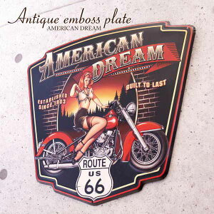 [t A[g EH[fR[V Ƌ CeA AeB[N G{Xv[g AMERICAN DREAM G{XH EH[v[g ɏ ꖡႤ͋C