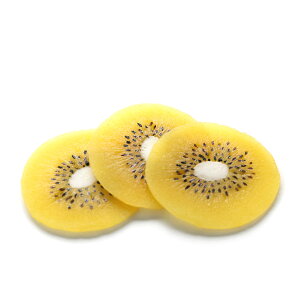 nhChp ֐؂ LEC S[h 3 b HiTv Tvi vJ { {i n[oE ޗ  ԍ t[c hCt[c  hCt[ vU[u