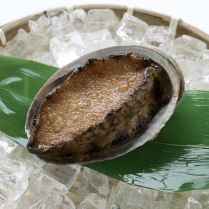 HׂȂ 鸁b Ar L  HiTv Tvi vJ { {i  tFCN C~e[V ޗ  ԍ X  fBXvC u CeA  Be 