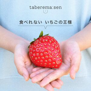 HׂȂ ̉l b  C`S Xgx[ HiTv Tvi vJ Tv { {i tFCN C~e[V ޗ  X  fBXvC u