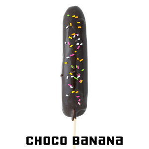 HׂȂ `Roiiboii  Ղ { {i HiTv Tvi vJ  tFCN C~e[V ޗ  ԍ X  fBXvC u CeA 