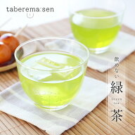 飲めない 緑茶｜お茶 食品サンプル サンプル品 レプリカ 見本 見本品 フェイク イミテーション 四季 樹脂…