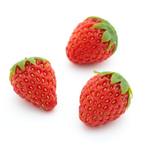 HׂȂ  ~ji3jb C`S Xgx[ HiTv Tvi vJ { {i  tFCN C~e[V ޗ  ԍ X  fBXvC u C