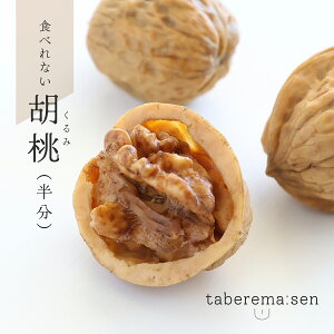 HׂȂ  ij b ӓ N~ HiTv Tvi vJ { {i ؂̎ ibc ޗ   nhCh X  fBXvC  Be ʐ^Be Mt