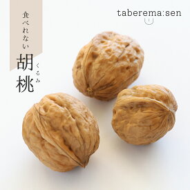 食べられない くるみ 3個セット ｜ 胡桃 クルミ 食品サンプル サンプル品 レプリカ 見本 見本品 木の実 ナッツ 材料 部材 資材 ハンドメイド 店舗 装飾 ディスプレイ 小物 撮影 写真撮影 ギフト プレゼント 食べれません taberemasen